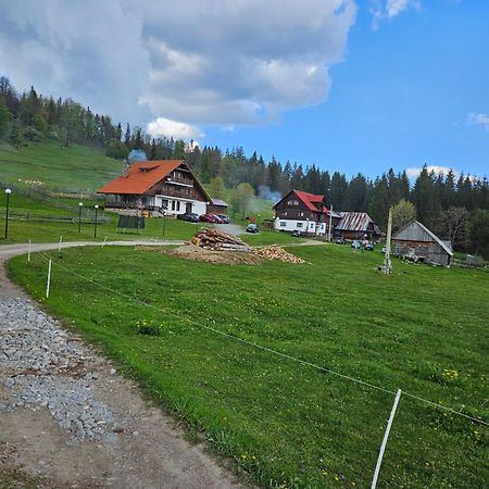 Pensiunea Scarisoara Ghetari Екстериор снимка